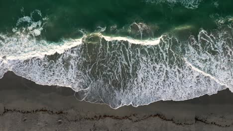 An-aerial-top-down-view-over-Hollywood-Beach,-Florida-on-a-sunny-day