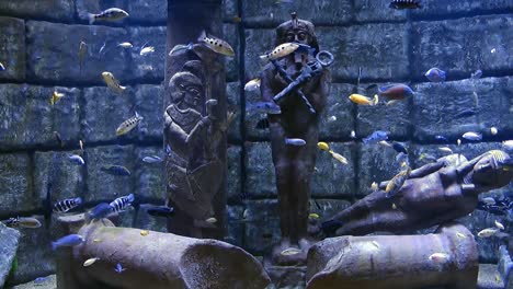 Ancient-Egypt-statues-underwater-in-an-aquarium,-colorful-fishes-are-swimming-around-statues-and-under-top-light,-aquarium-decoration-concept