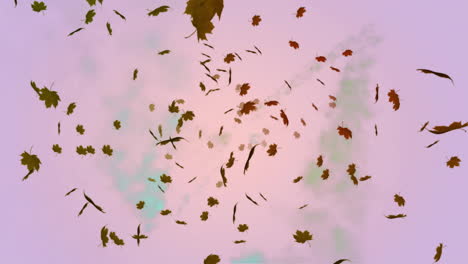 animation of leaves falling over blue and green smoke trails on pink background