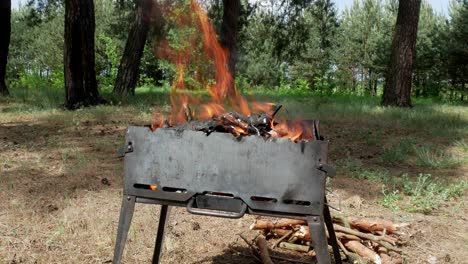 brazier parrilla de barbacoa en el bosque 4k