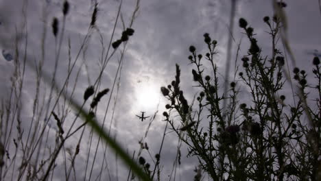 avión volando sobre el campo con flores