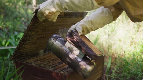 caucasian male beekeeper in protective clothing using smoker to calm bees in a beehive