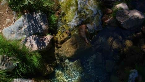 Agua-Colorida-En-Un-Arroyo-De-Montaña