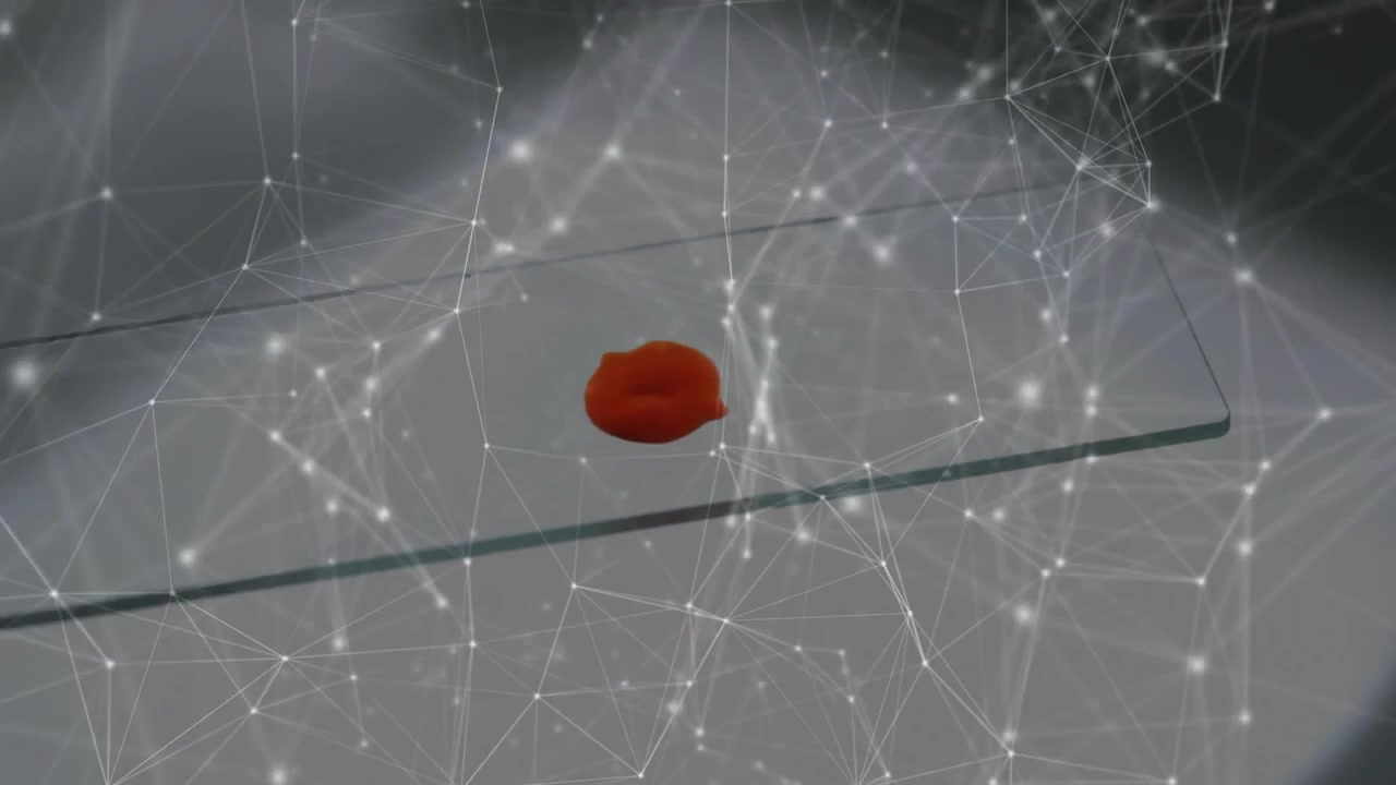 Red-orange droplet merging after small droplet landing on drop on slide, overlay moving for study