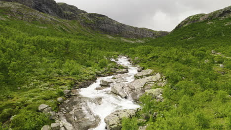 peaceful stream flows through a beautiful norwegian countryside landscape