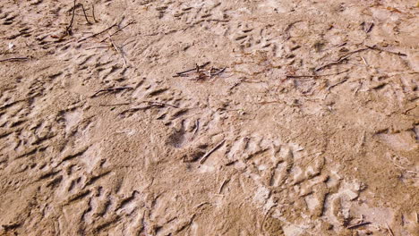 barren sand landscape under the sunlight. close up