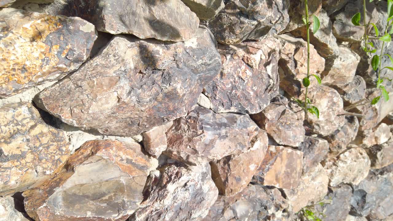 A wall made of rocks with a few weeds growing on it