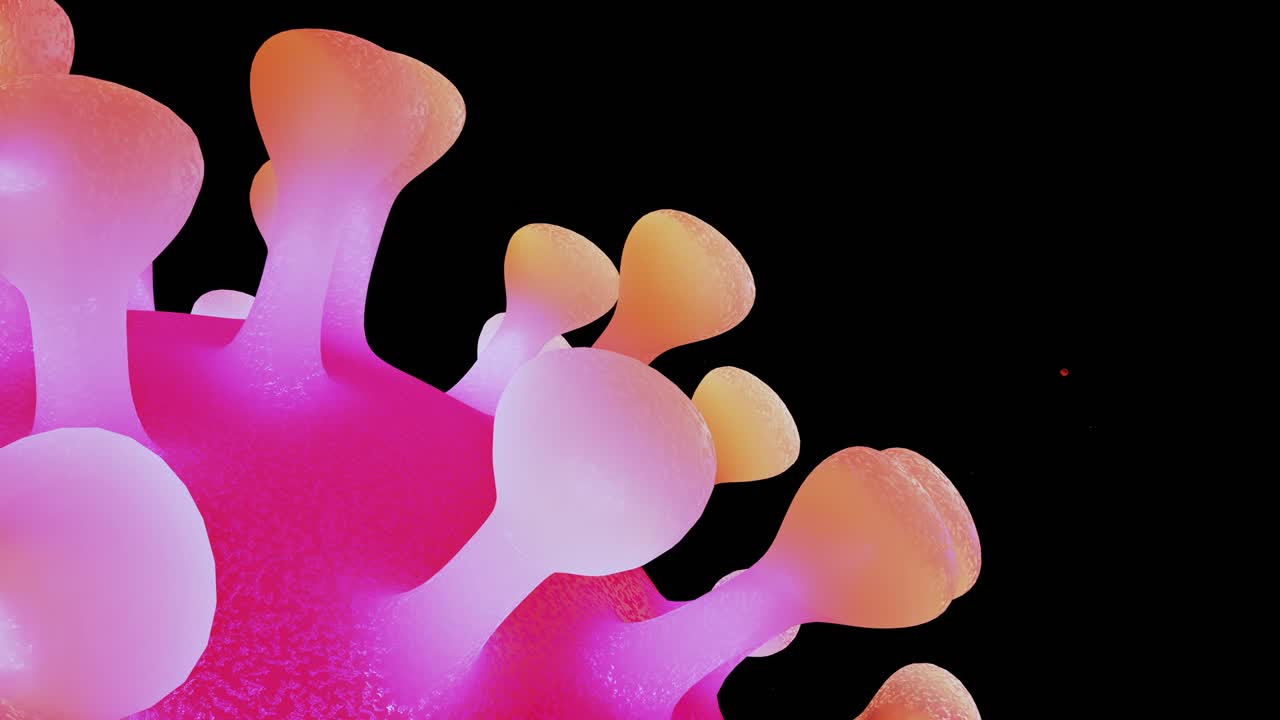 close-up coronavirus type covid-19, h1n1, bird flu or swine flu move smoothly in fluid 3d representation of virus as microbiological microscopic looped background. Red blue gradient