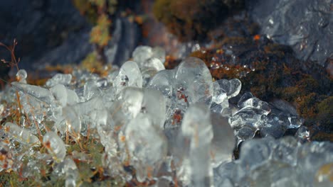 ice glazed the grass and tiny plants, creating miniature stalagmites on the ground