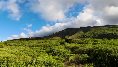 soar high above and take in the breathtaking aerial view of a path cutting through lush low-lying vegetation, with the majestic molokai mountain peak looming in the distance against a clear blue sky