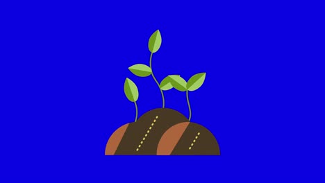 4k video of cartoon piece of ground with plant on blue background.