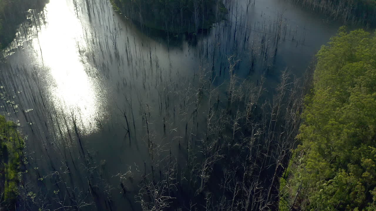 la naturaleza tiene algo increíble que mostrarte.