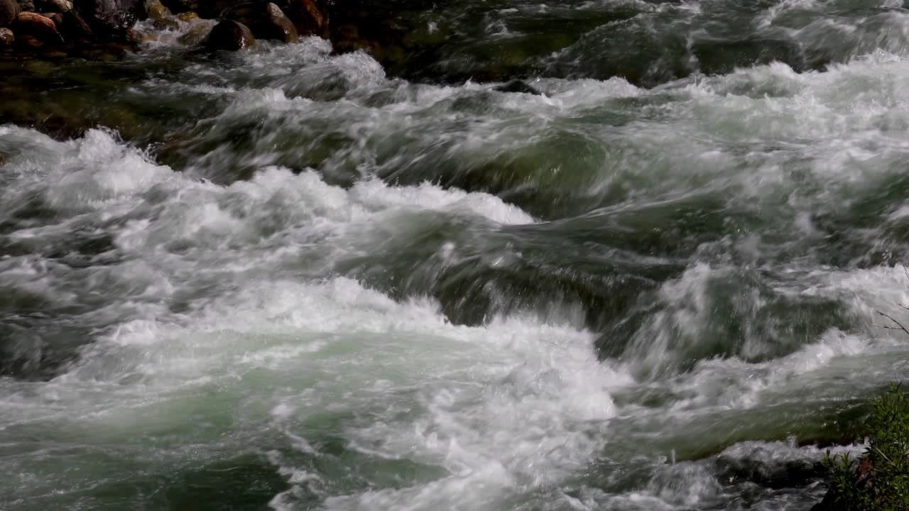 Rapide sul fiume Merced - Percorso ad anello