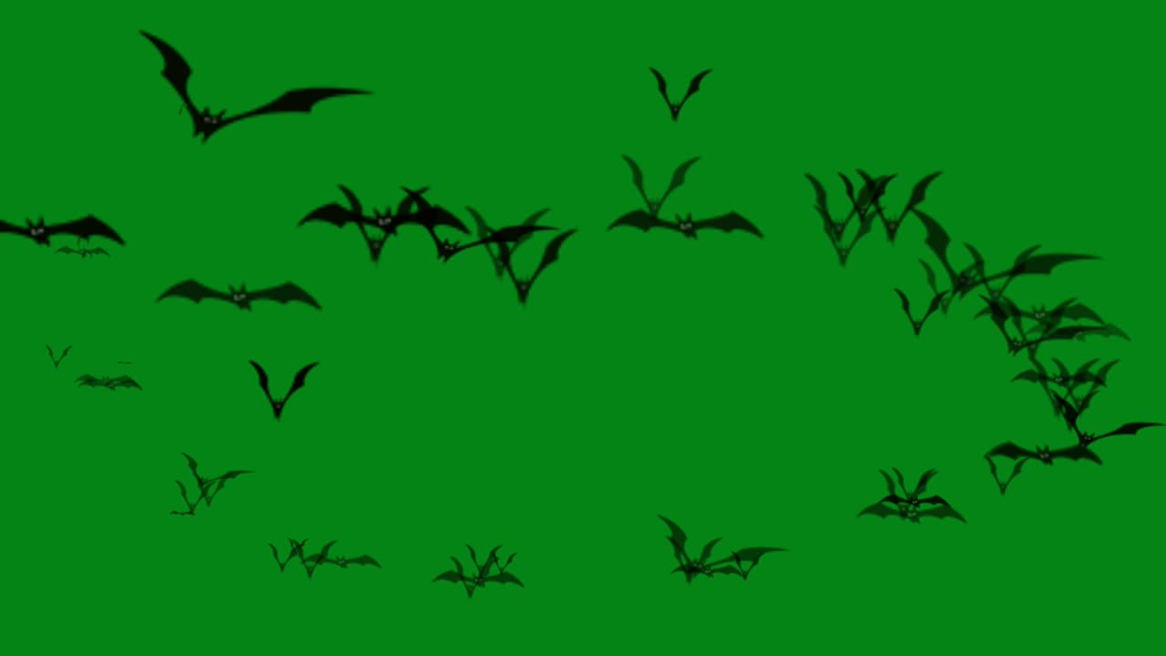 Flying bats green screen motion graphics