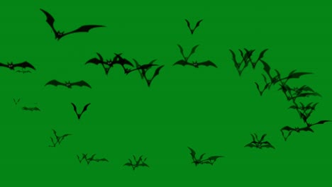 flying bats green screen motion graphics