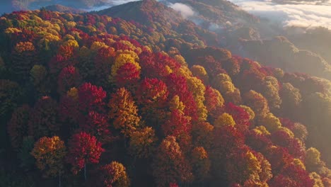 Aerial video captures vibrant autumn foliage on rolling hills