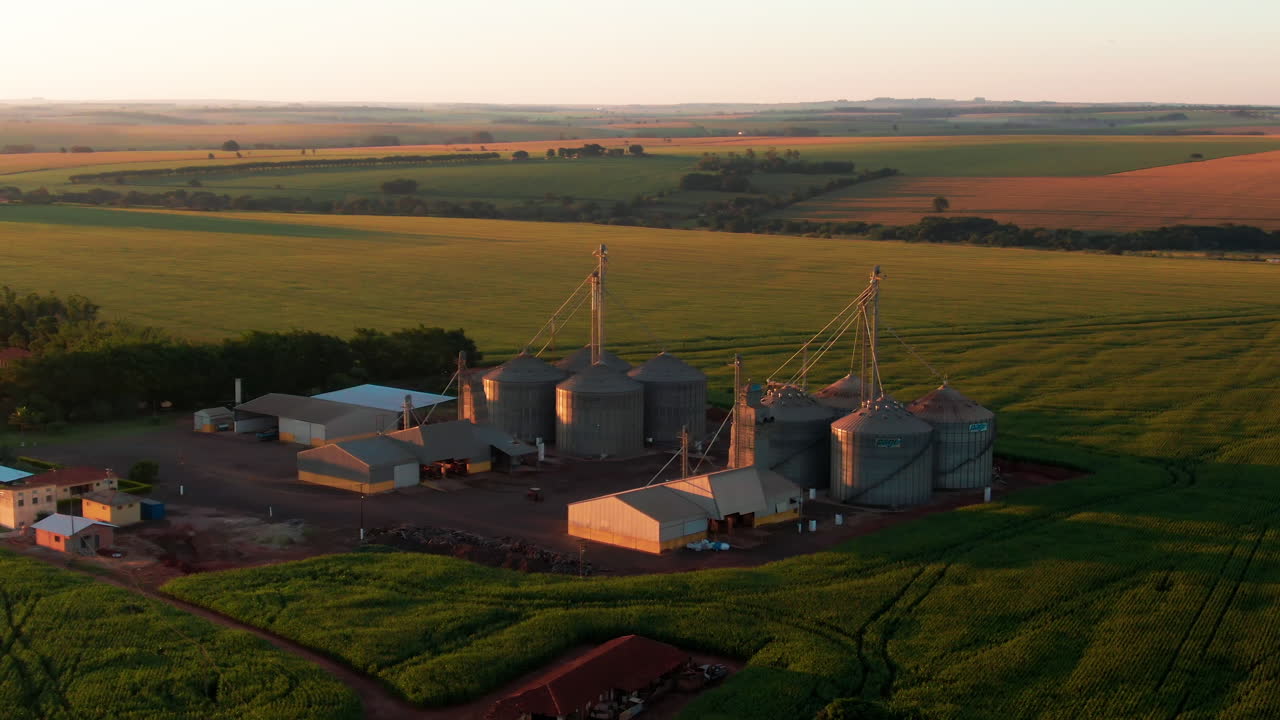 A grain silo farm surrounded by vast green fields at sunset, aerial view.