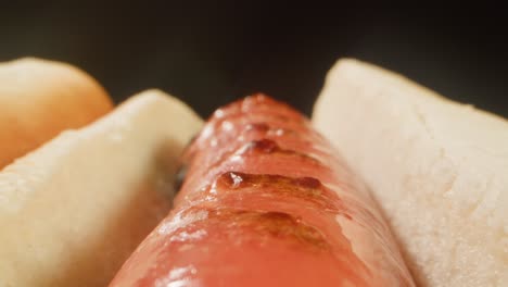 close-up of a grilled hot dog