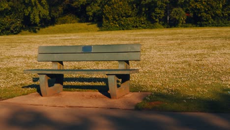 Leere-Parkbank-Bei-Sonnenaufgang-Mit-Gänseblümchen-Gefüllten-Feld-Und-Bäumen-Im-Hintergrund