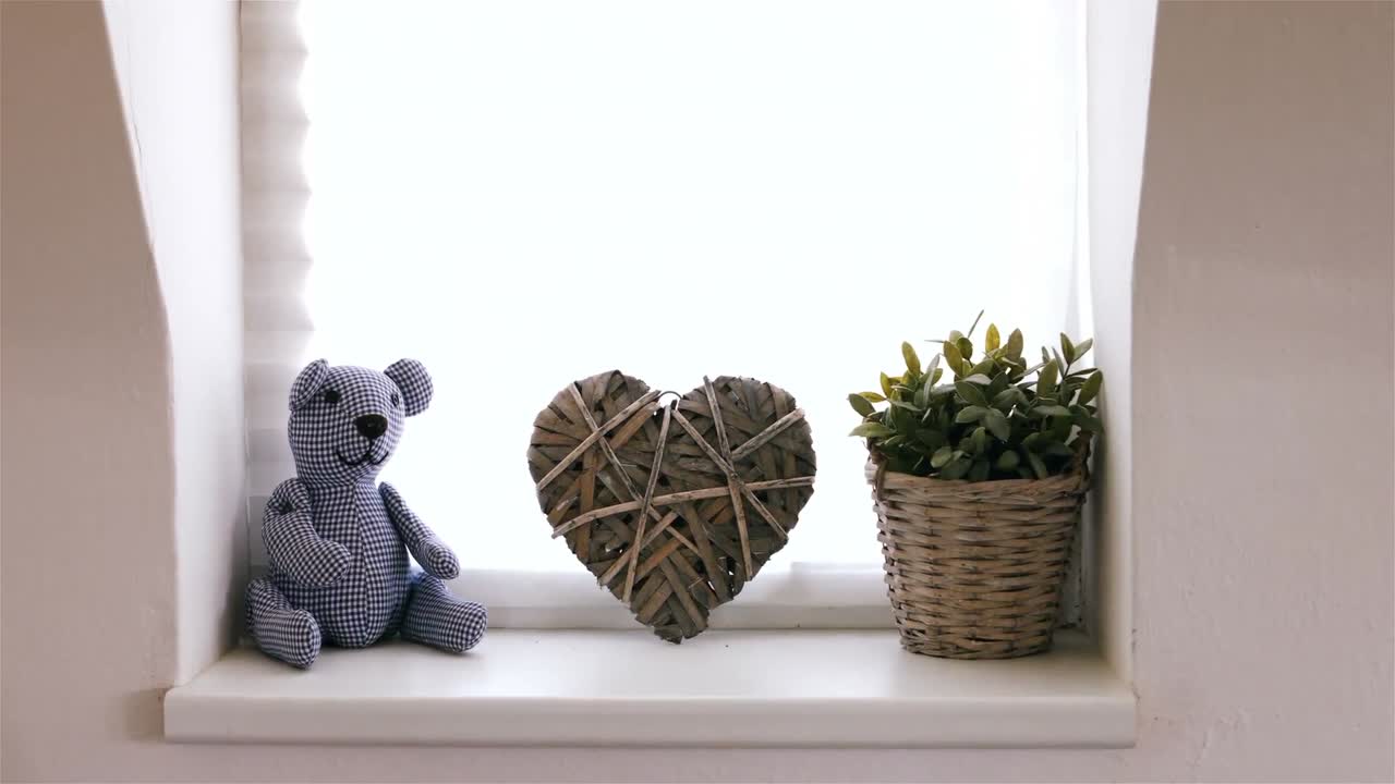 장난감, 심장 및  ⁇ 비 식물