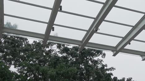 raindrops running of off glass roof during tropical monsoon with tree background