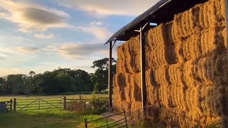 square harvested bales of hay for cattle at the english farm in the cotswolds