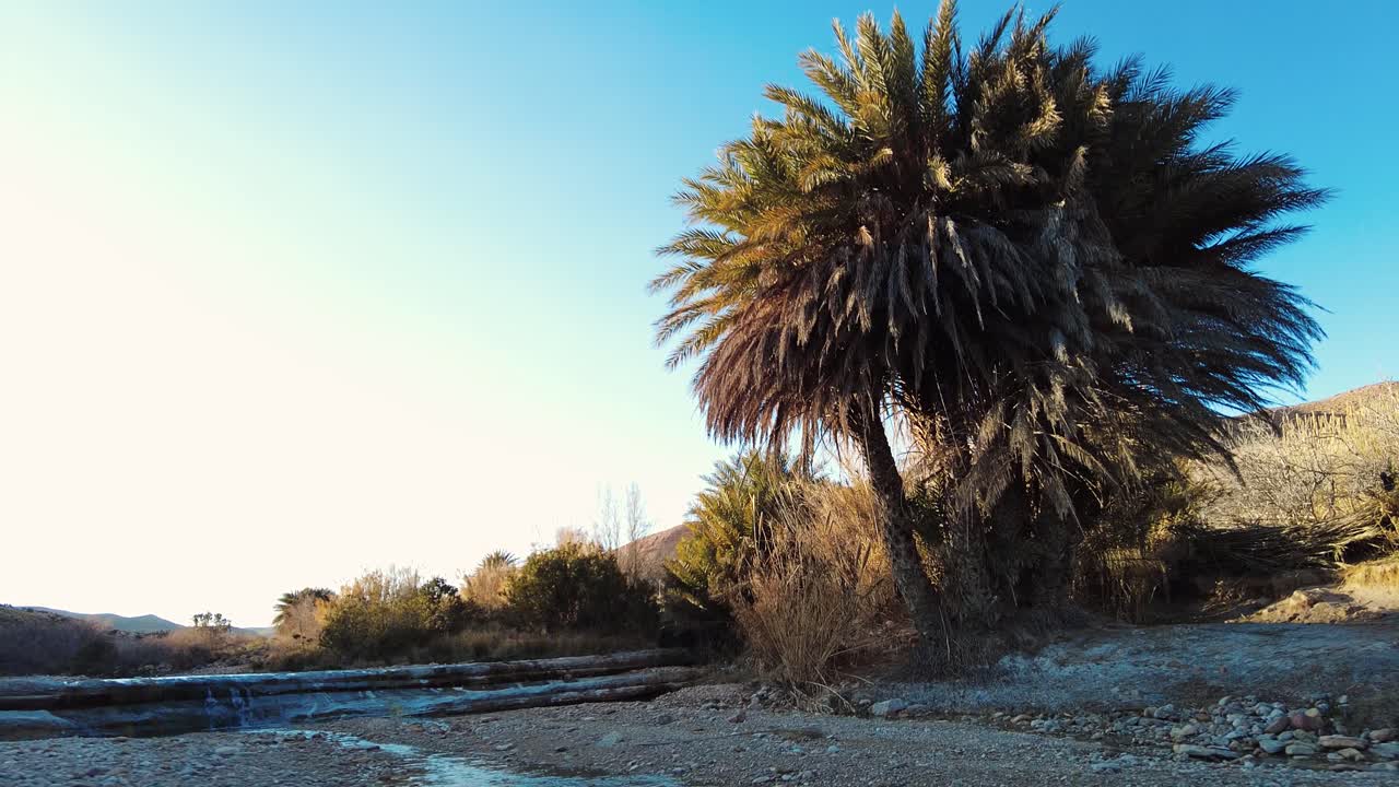 사하라 사막 한가운데에 있는 강 알제리 비스크라