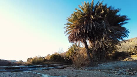 un río en el medio del desierto del sáhara argelia biskra