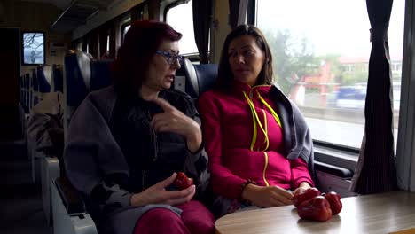 two women talking while sitting on the train