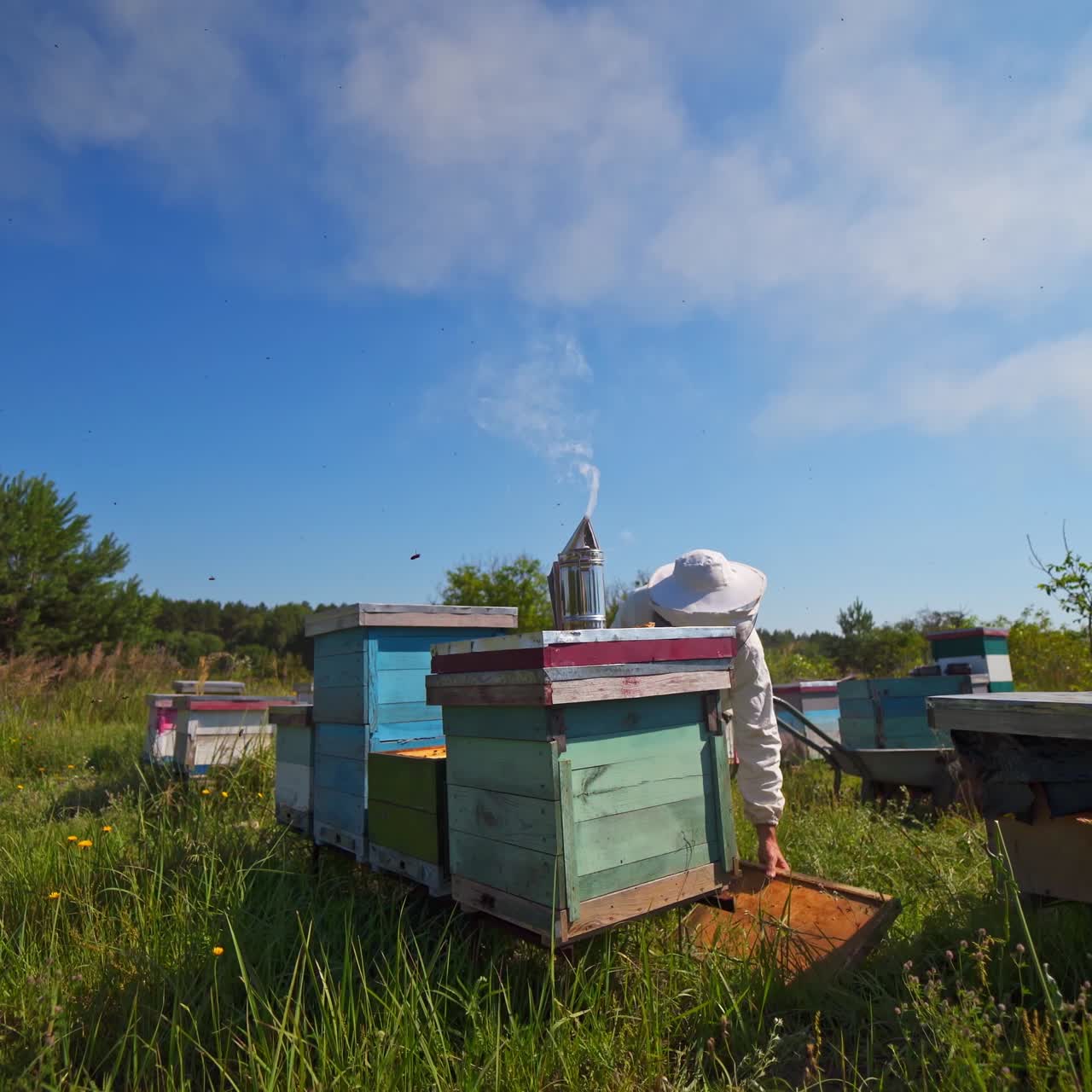 Apiary under blue sky. Chimney with smoke on a beehive. Beekeeper working near wooden hives in summer. Apiculture among green nature.