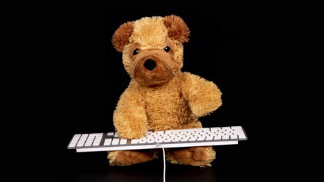 teddy bear typing on a keyboard