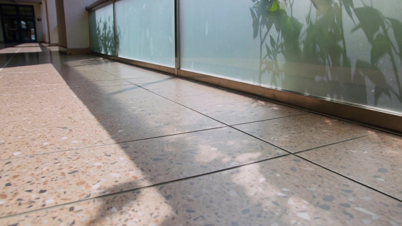 Luz solar cambiante moviéndose por un suelo de terrazo mostrando sombras de plantas en un pasillo