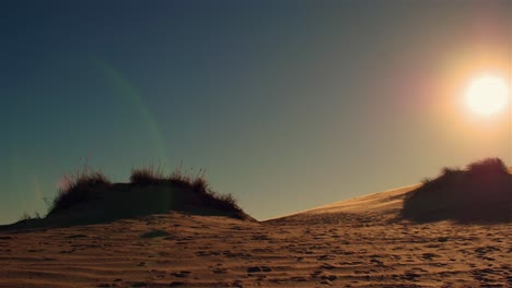 obx dune sand wide shot slow motion 24fps