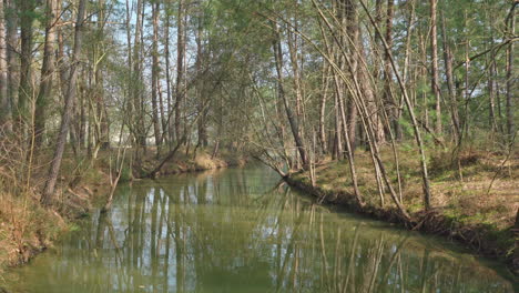 A-static-ground-shot-of-a-steady-and-calm-stream-of-water-feeding-into-a-lake