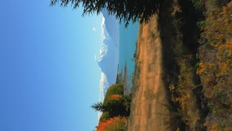 lake pukaki and mont cook aoraki, new zealand revealed beyond trees at an overlook - vertical aerial
