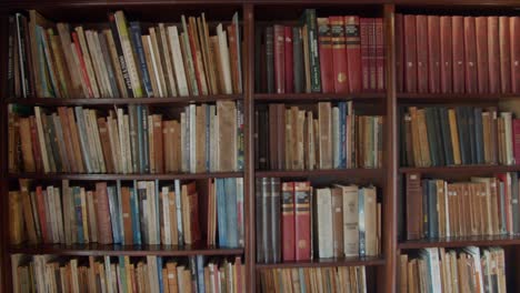 old home library - warm and dusty house vibes - old books in spanish - 4k at 60fps (slowmotion)