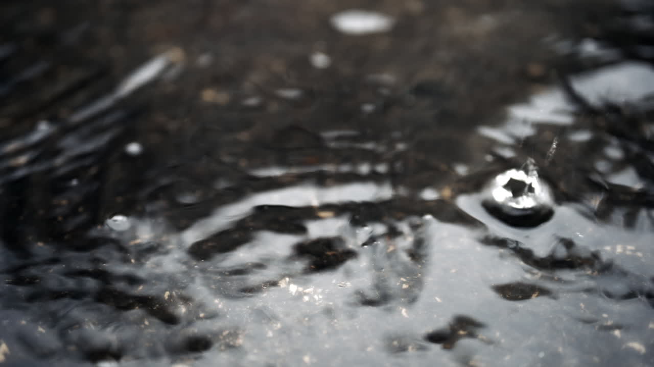 Primo piano di una goccia d'acqua che crea un'increspatura circolare su una superficie bagnata all'aperto