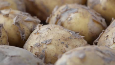 close-up of potatoes