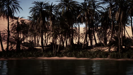oasis desértico con palmeras y río