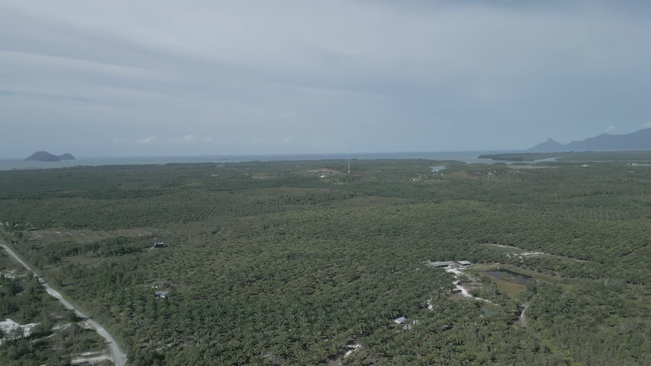 Beautiful Aerial Drone View At Matang Fac Highway This Road Lead to Sempadi Costal Road,Facing Green Forest And Mount Serapi Kuching,Borneo