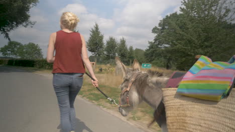 Young-blonde-girl-walking-a-donkey