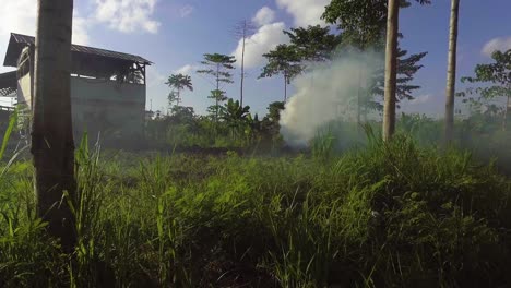 smoke from burning fields for farming