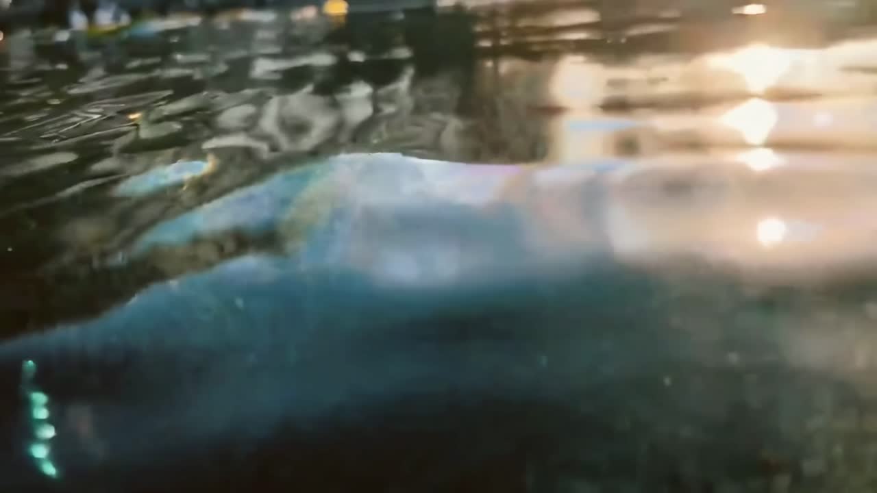 Video con inquadratura dal basso che riprende placide increspature su un lago illuminato dal sole, evocando tranquillità e calma.