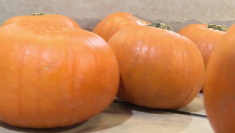 calabazas