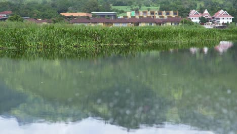 Reflection-on-Inle-Lake,-Myanmar,-with-egret-flying-in-background