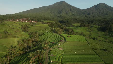 rural rice fields of jatiluwih with mountains in background, pastoral scenery, aerial