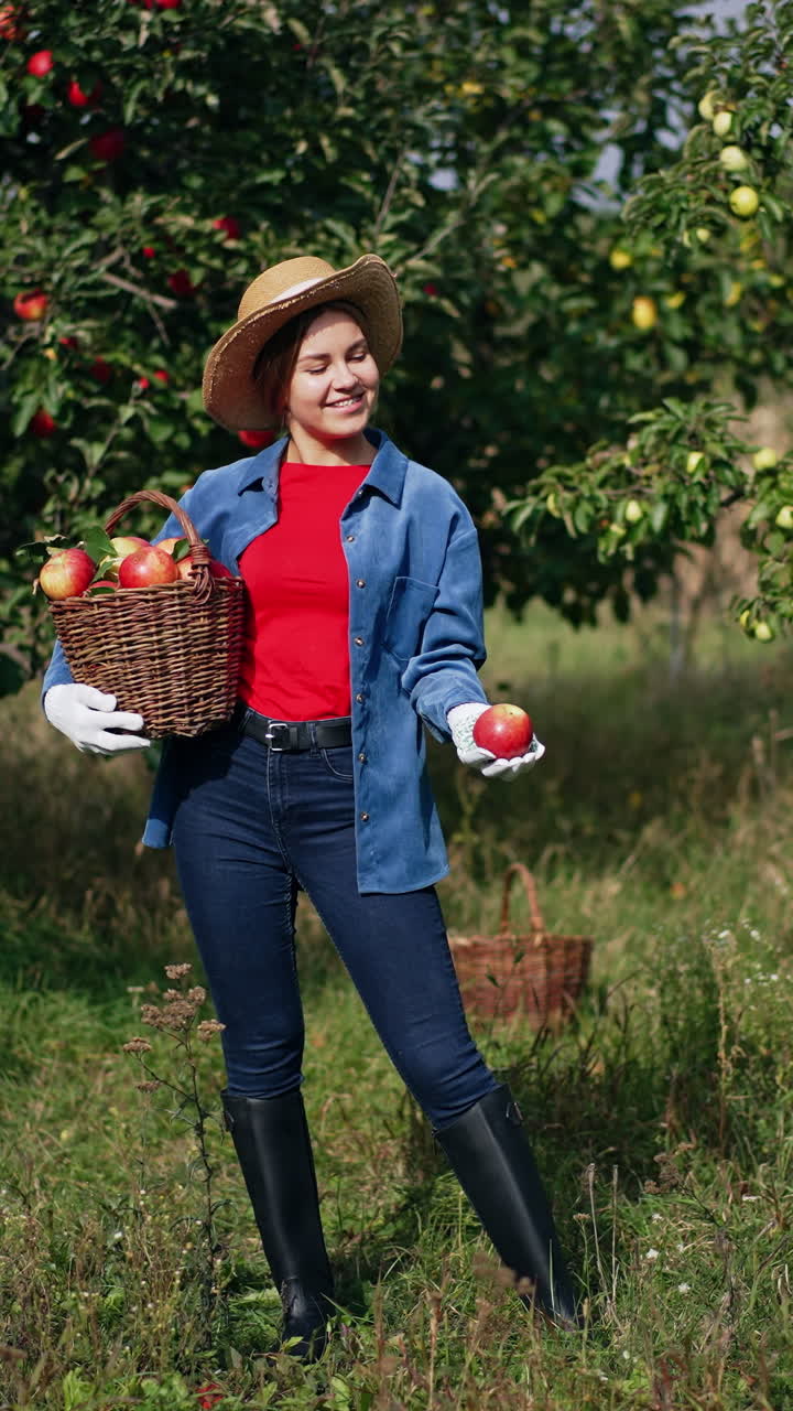 Young attractive woman in hat, Jeanswear and high boots holding a basket of apples. Lady playfully tosses fruit standing in the sun. Vertical video