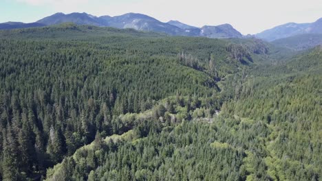 long slow flight down a densely forested valley