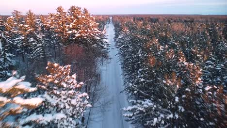 vuelo aéreo de carretera boscosa de invierno - michigan