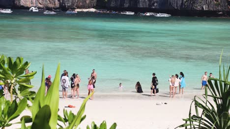 people enjoying a sunny day at the beach